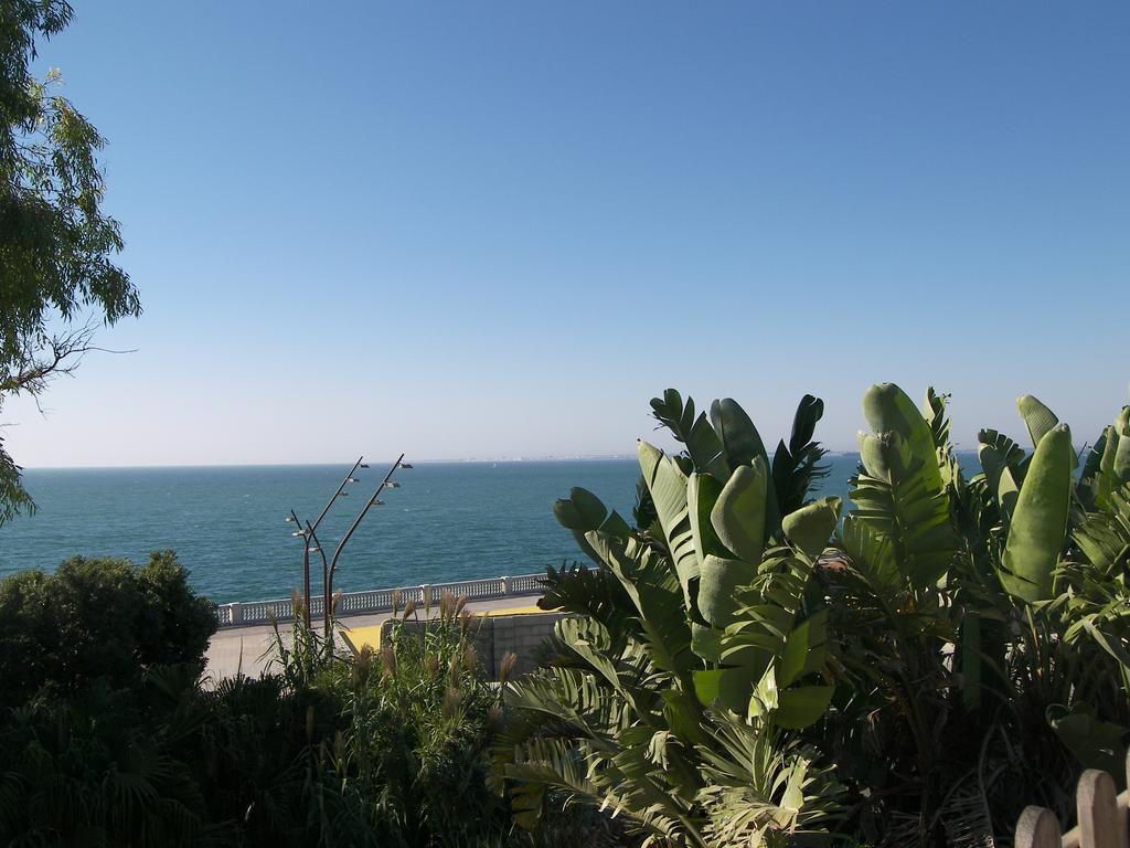 Atico 19 Dias Y Muchas Noches Lägenhet Cádiz Exteriör bild